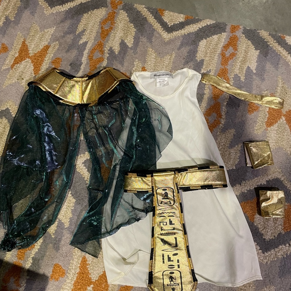 Egyptian Costume with Gold Accents